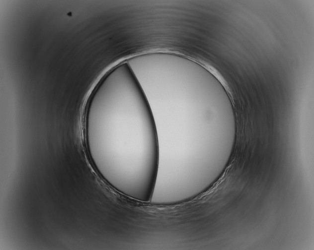 X0000092301148200710121442