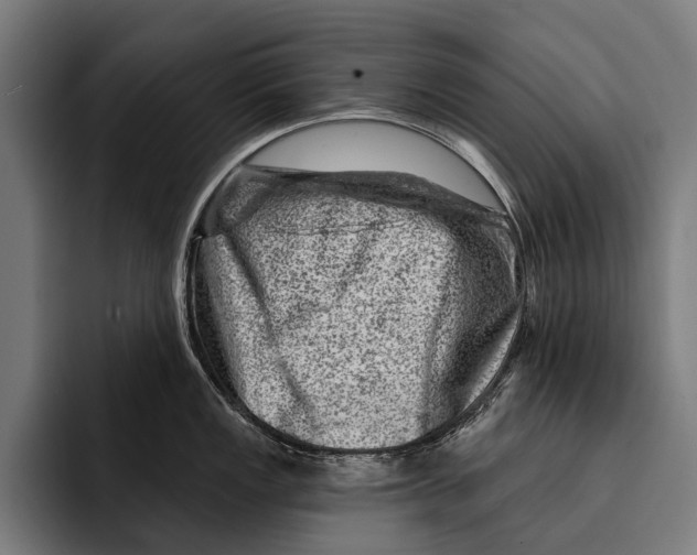 X0000092301149200710121442