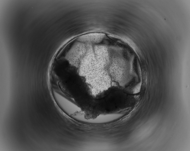 X0000092301151200710121442