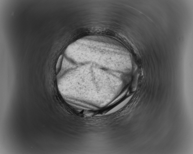 X0000092301153200710121442