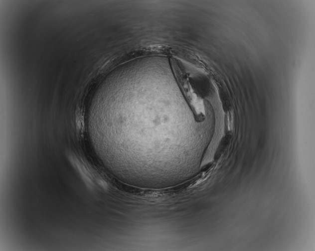 X0000092301155200710121442