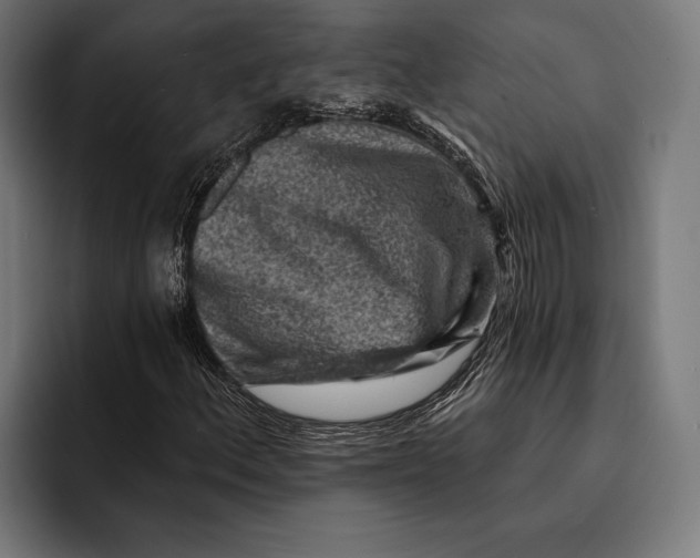 X0000092301156200710121442