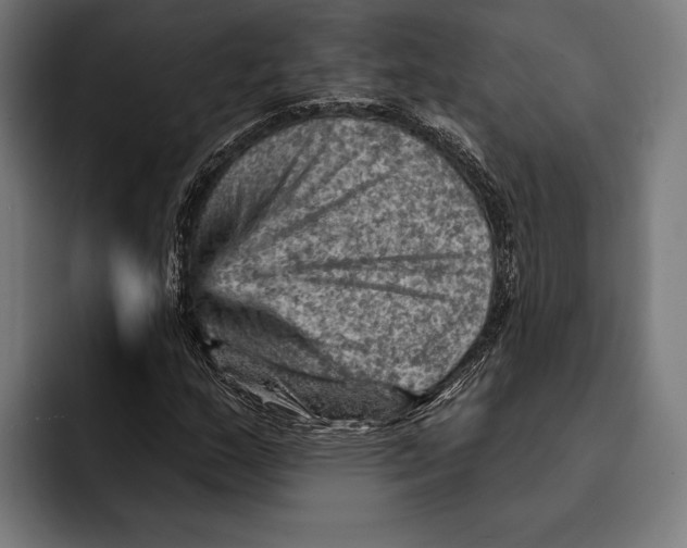 X0000092301159200710121442