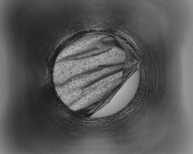 X0000092301160200710121442