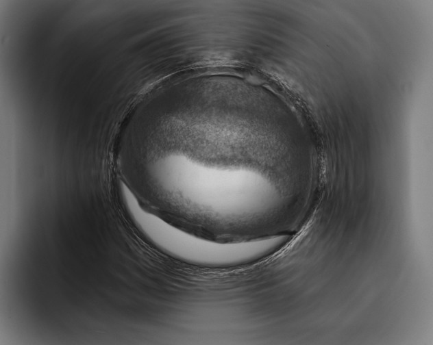 X0000092301161200710121442