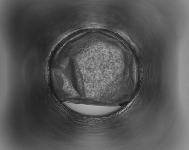 X0000092301167200710121441