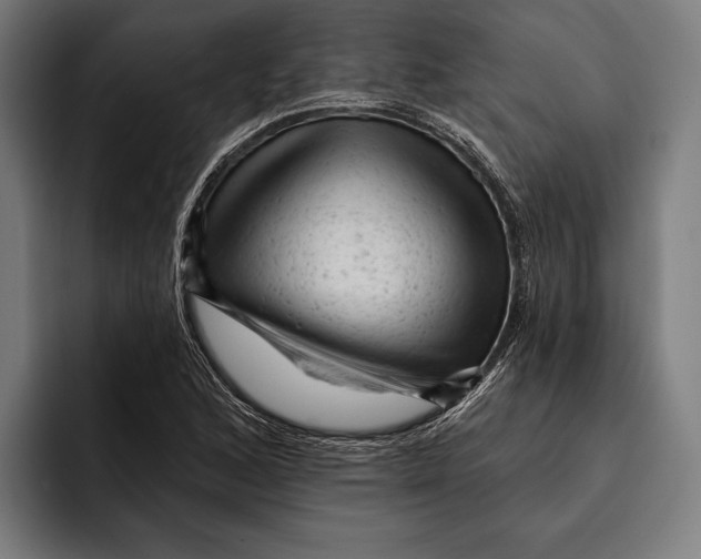 X0000092301168200710121441