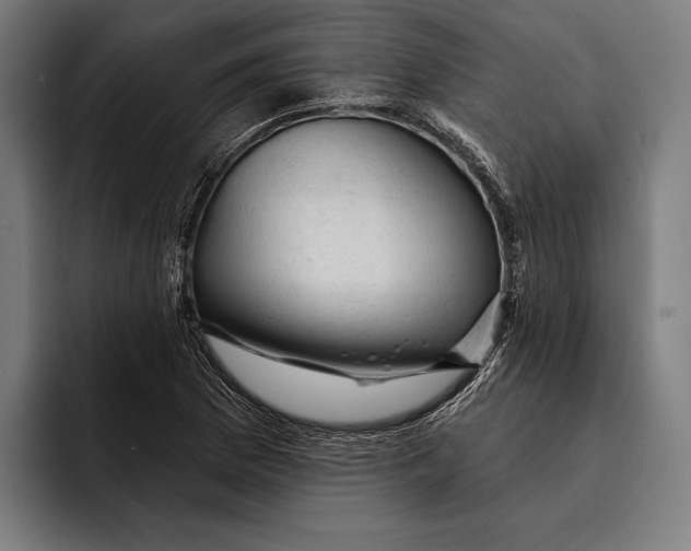 X0000092301169200710121441