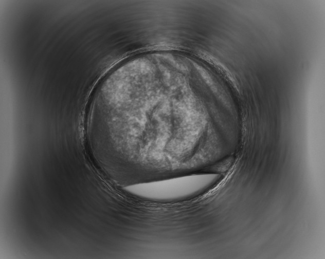 X0000092301170200710121441