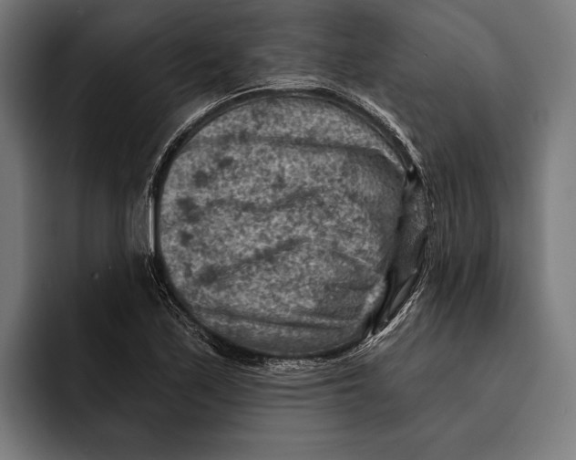 X0000092301171200710121441