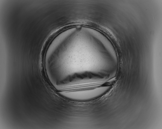 X0000092301172200710121441