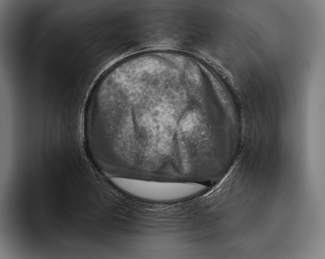 X0000092301174200710121441