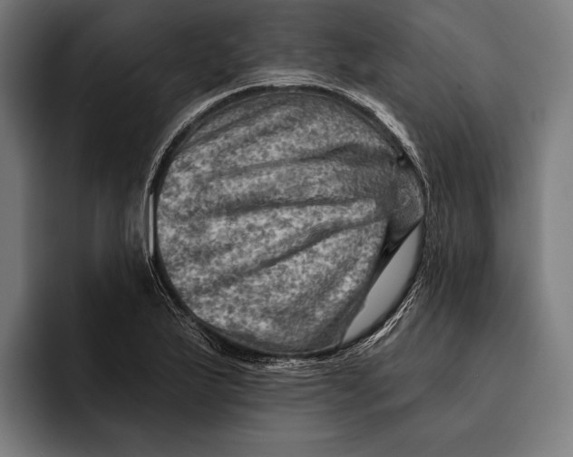 X0000092301175200710121441