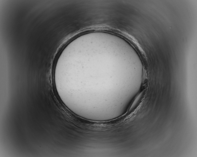 X0000092301176200710121441