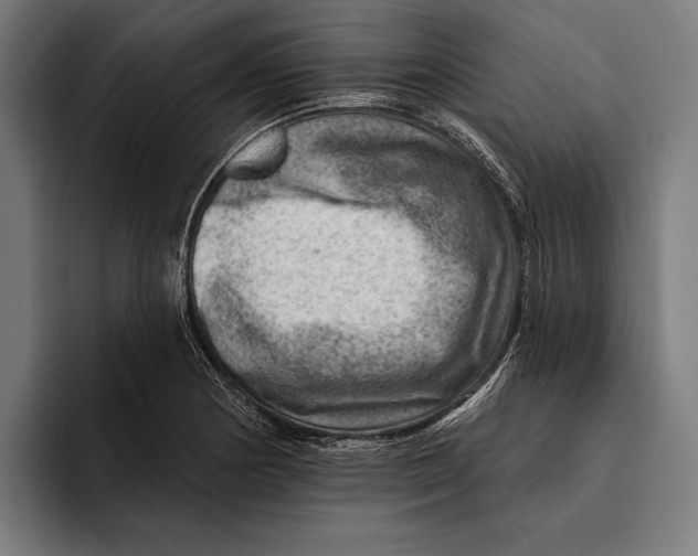 X0000092301178200710121441