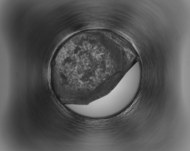 X0000092301179200710121441