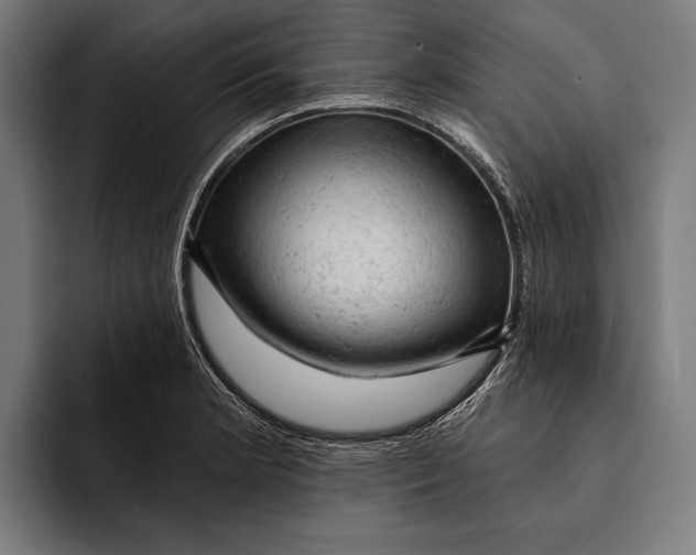 X0000092301181200710121441