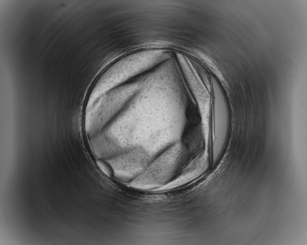 X0000092301186200710121441