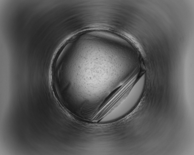 X0000092301188200710121441