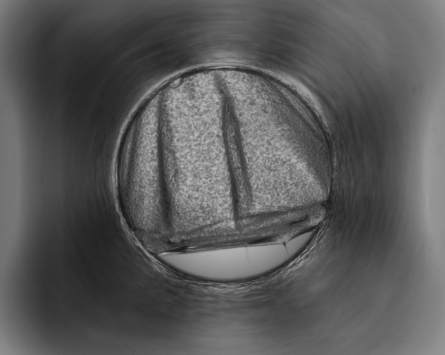 X0000092301191200710121441