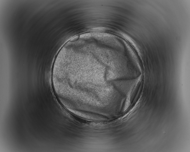 X0000092301194200710121441