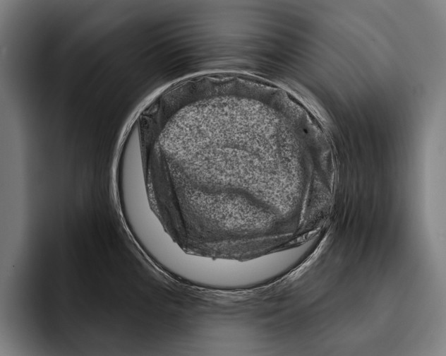 X0000092301196200710121441