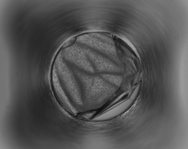 X0000092301197200710121441