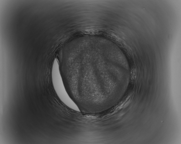 X0000092301202200710121440