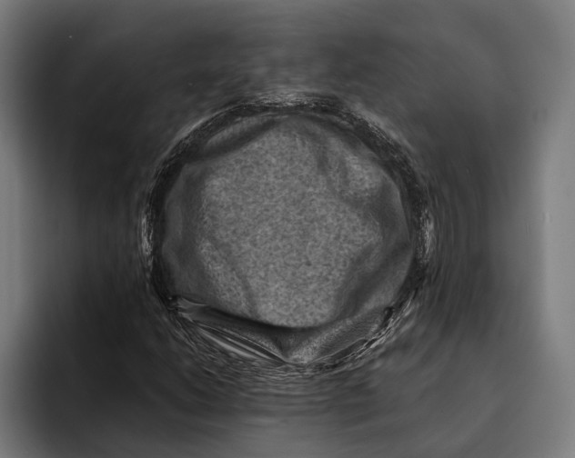 X0000092301206200710121440