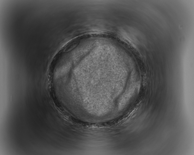 X0000092301208200710121440