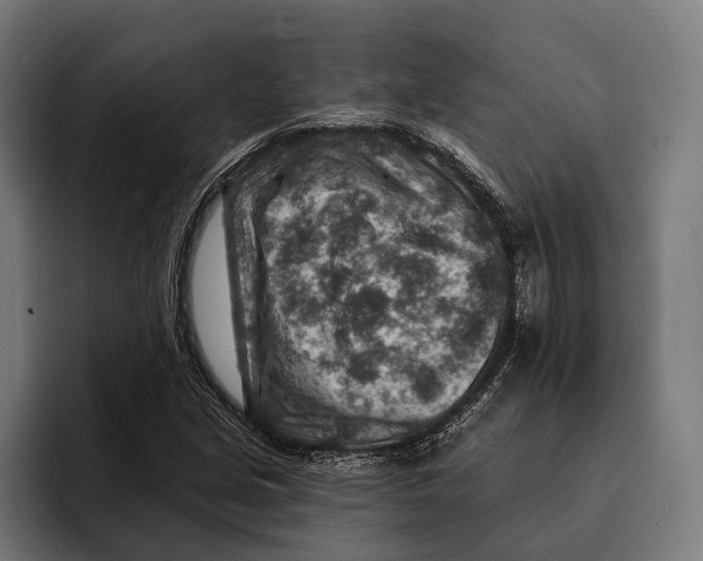 X0000092301213200710121440