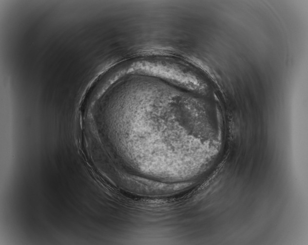 X0000092301219200710121441