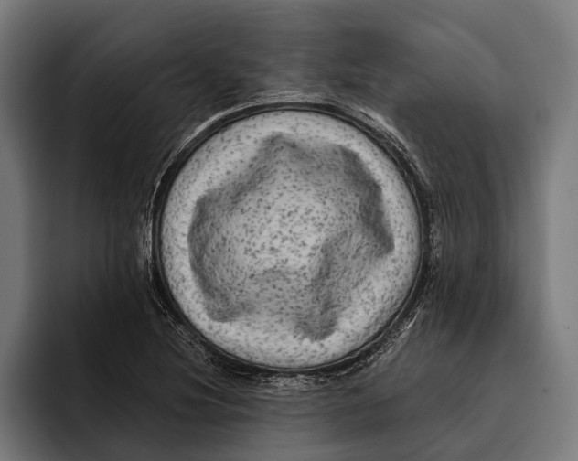 X0000092301220200710121441