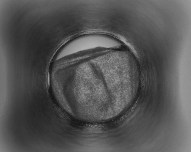 X0000092301221200710121441