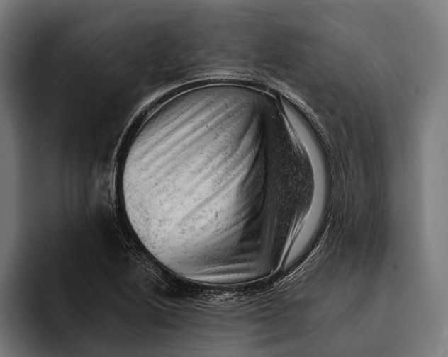 X0000092301222200710121441