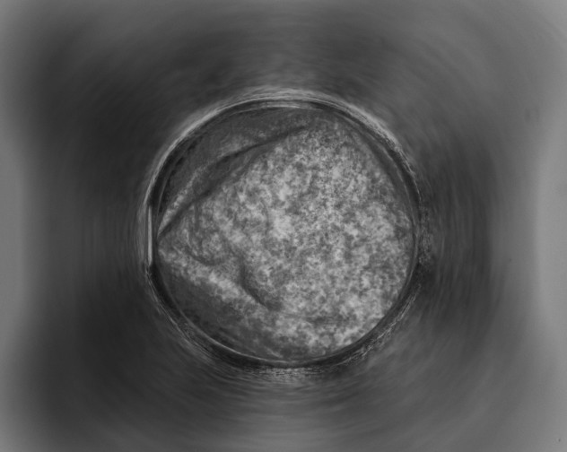 X0000092301223200710121441