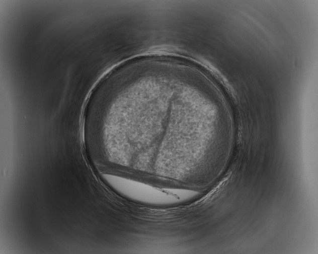 X0000092301224200710121441