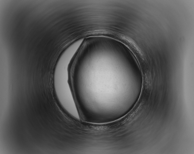 X0000092301225200710121441