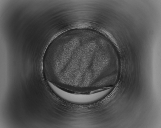 X0000092301226200710121441