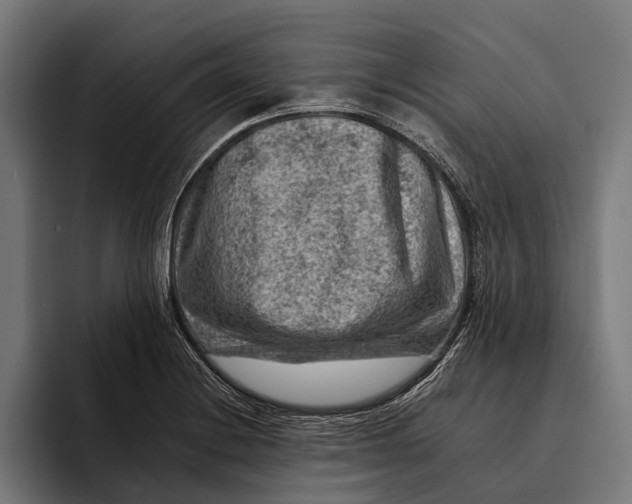 X0000092301228200710121441