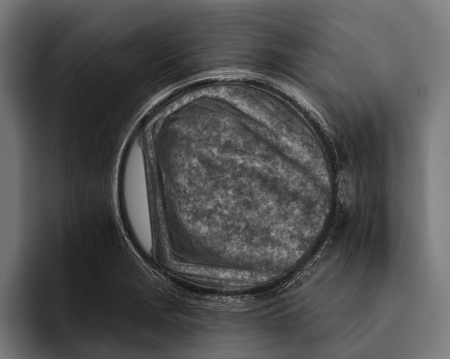 X0000092301229200710121441