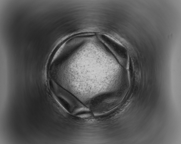 X0000092301230200710121441