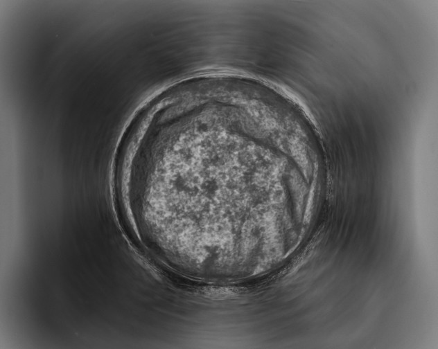 X0000092301231200710121441