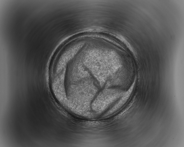 X0000092301232200710121441