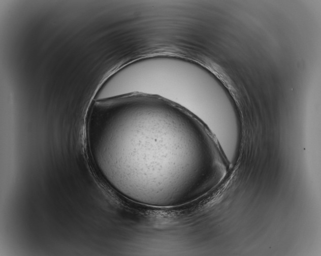 X0000092301234200710121441