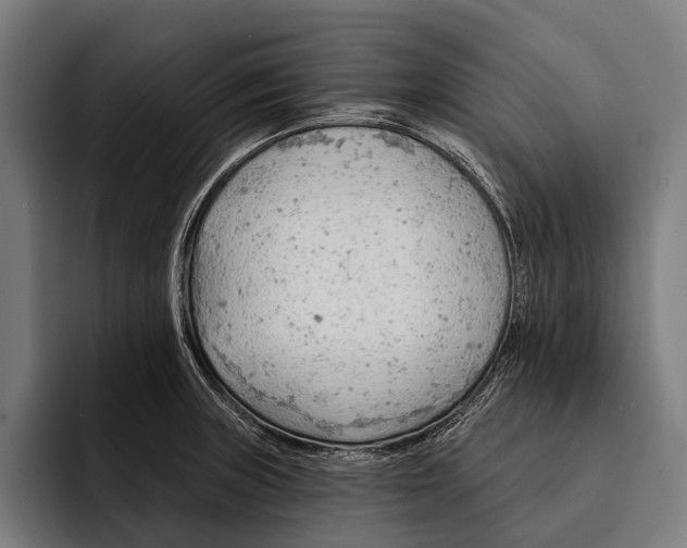 X0000092301235200710121441