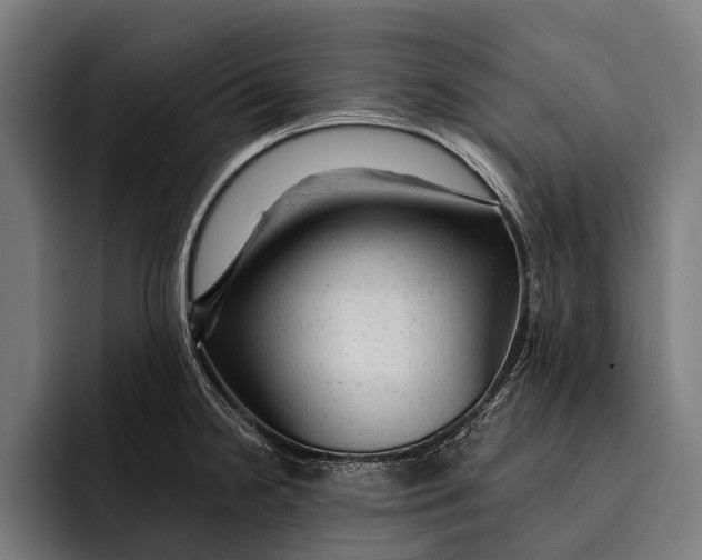 X0000092301238200710121441