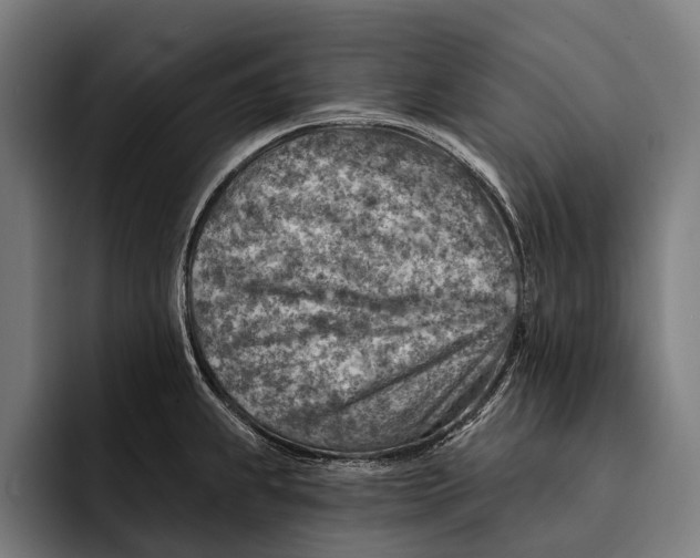 X0000092301239200710121441