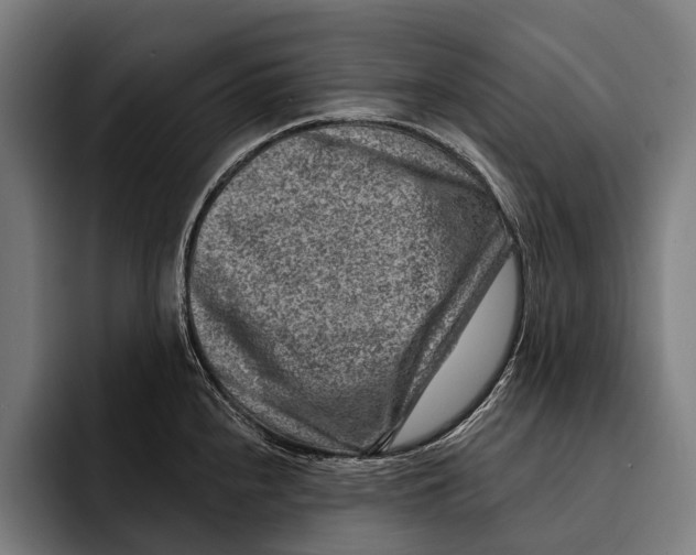 X0000092301240200710121441