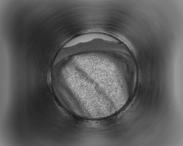 X0000092301241200710121441